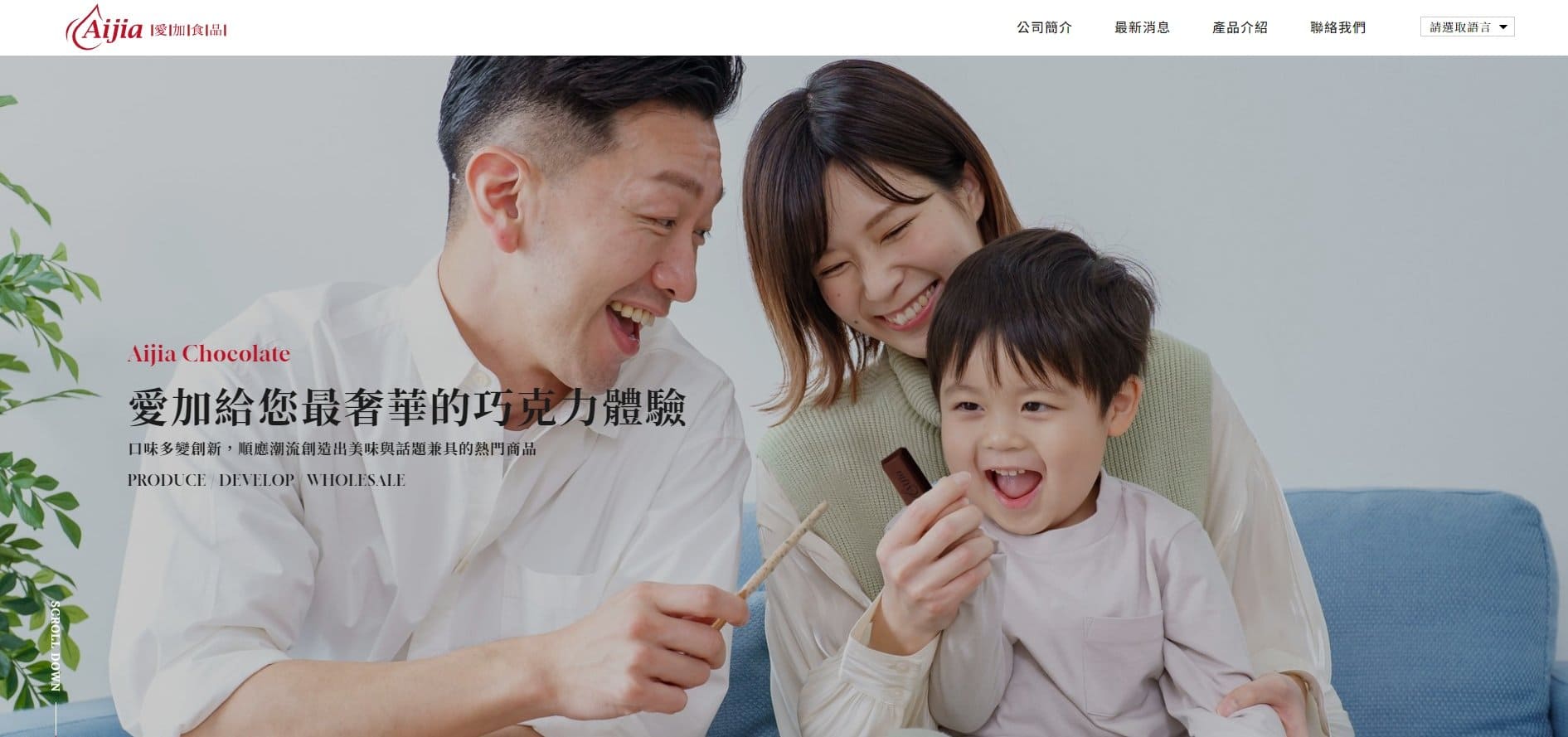 愛加食品有限公司｜SEO、RWD 網頁/網站設計範例