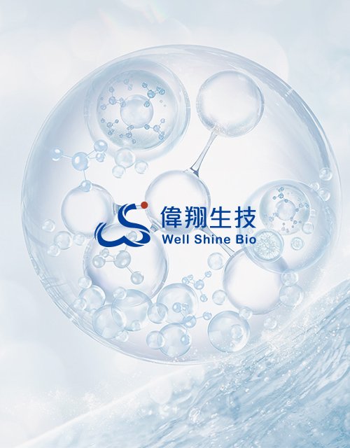 偉翔生技 Well Shine Bio｜生醫級菇類高分子生物材料專家