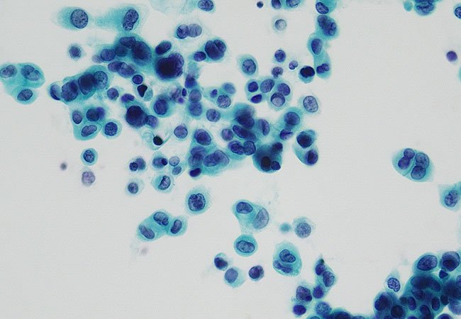 Wellgen 威捷生物醫學｜網頁設計、網站架設