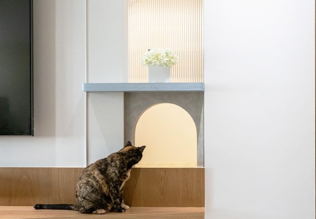 築藝坊-台中室內裝修｜網頁設計、網站架設