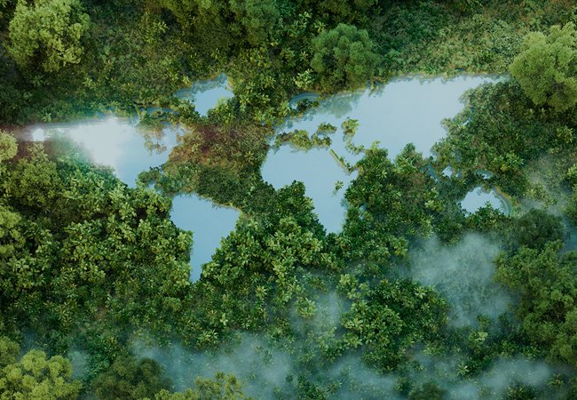 有成精密-ESG企業永續網站｜網頁設計、網站架設