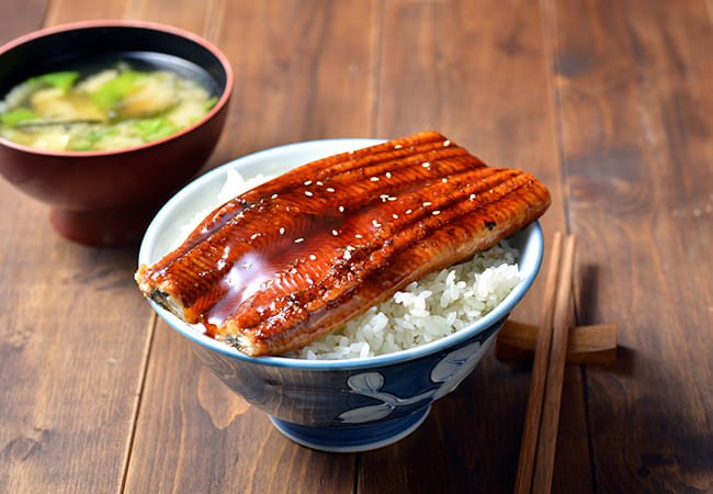 祐全產業-鰻魚養殖場｜食品工廠網頁設計、網站架設