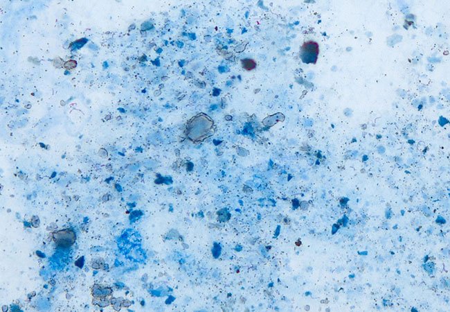 Wellgen 威捷生物醫學｜網頁設計、網站架設