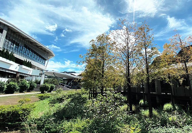 大明高級中學-特招與藝術教育｜網頁設計、網站架設