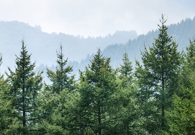 竣品國際-箱內緩衝、箱外包裝、貨櫃包裝｜網頁設計、網站架設