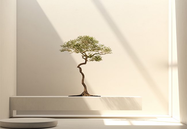 鼎曜設計室內裝修｜網頁設計、網站架設